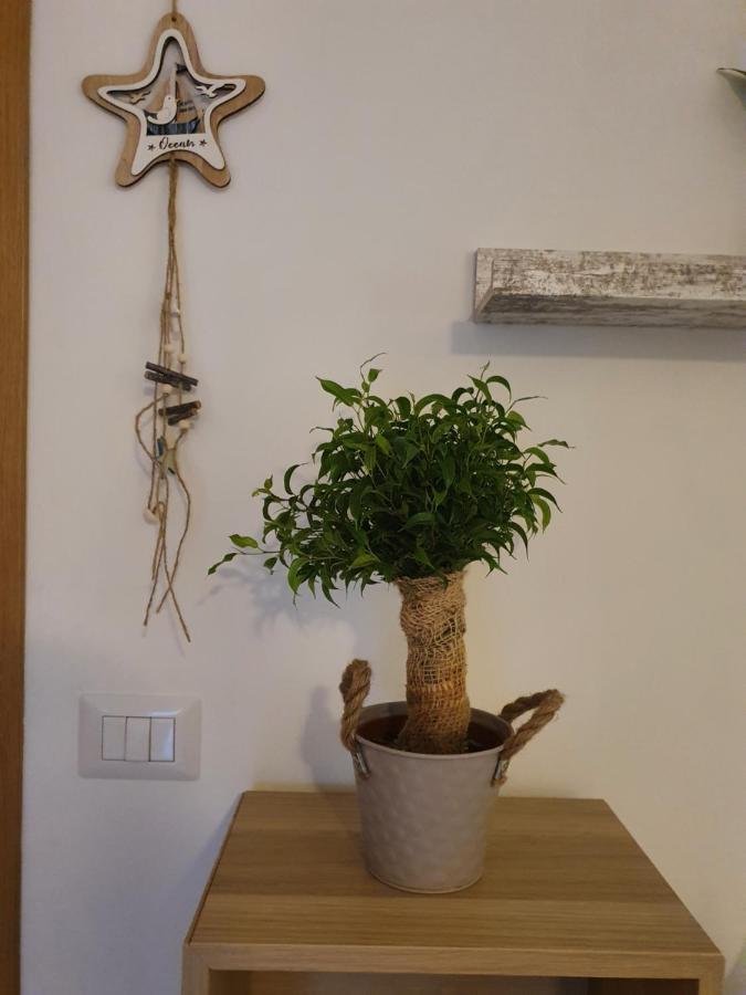 Bella Alba Apartment On The Beach Alba Adriatica Ngoại thất bức ảnh